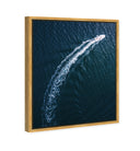 Curve Sea