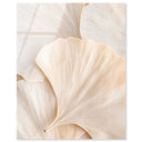 Subtle Petals