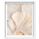Subtle Petals