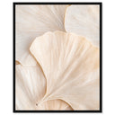Subtle Petals