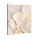 Subtle Petals