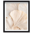Subtle Petals