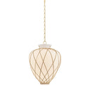 Aged Brass Apple Valley Pendant 17.25" by Hudson Valley