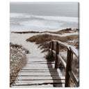 Coastal Path I