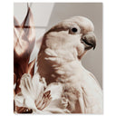 Pale Cockatoo I