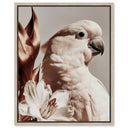 Pale Cockatoo I