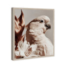 Pale Cockatoo I