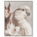Pale Cockatoo I