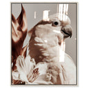 Pale Cockatoo I