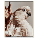 Pale Cockatoo I