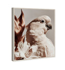 Pale Cockatoo I