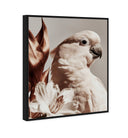 Pale Cockatoo I
