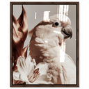 Pale Cockatoo I