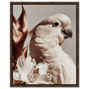 Pale Cockatoo I