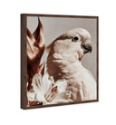 Pale Cockatoo I