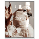 Pale Cockatoo I