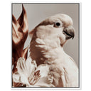 Pale Cockatoo I