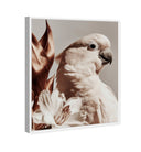 Pale Cockatoo I