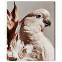 Pale Cockatoo I