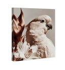 Pale Cockatoo I