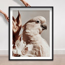 Pale Cockatoo I