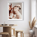 Pale Cockatoo I