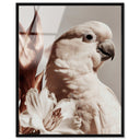 Pale Cockatoo I