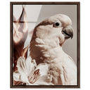 Pale Cockatoo I