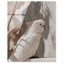 Pale Cockatoo III