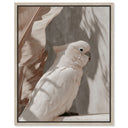 Pale Cockatoo III
