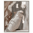 Pale Cockatoo III