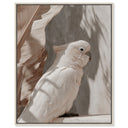 Pale Cockatoo III