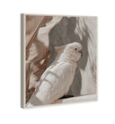 Pale Cockatoo III