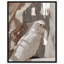 Pale Cockatoo III