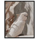Pale Cockatoo III