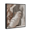 Pale Cockatoo III