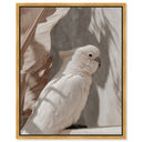 Pale Cockatoo III