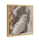 Pale Cockatoo III