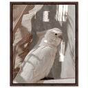 Pale Cockatoo III