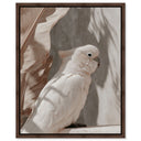 Pale Cockatoo III