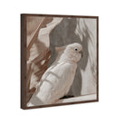Pale Cockatoo III