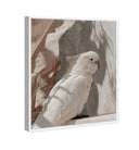 Pale Cockatoo III