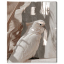 Pale Cockatoo III