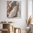 Pale Cockatoo III