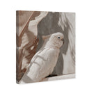 Pale Cockatoo III