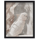 Pale Cockatoo III