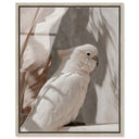 Pale Cockatoo III