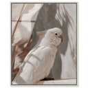 Pale Cockatoo III