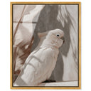 Pale Cockatoo III