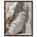 Pale Cockatoo III